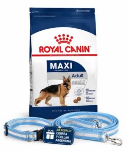 Maxi Adulto x 15 Kg+Conjunto de Argentina!!