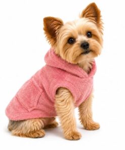 Buzo Hoodie