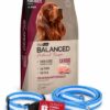 Vital Balanced N.Recipe Cerdo x 15kg+Conjunto de Argentina!!