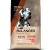 Vital Balanced N.Recipe Cordero x 15kg
