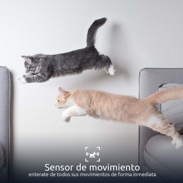Comedero Inteligente Para Mascota Nexxt - Imagen 3