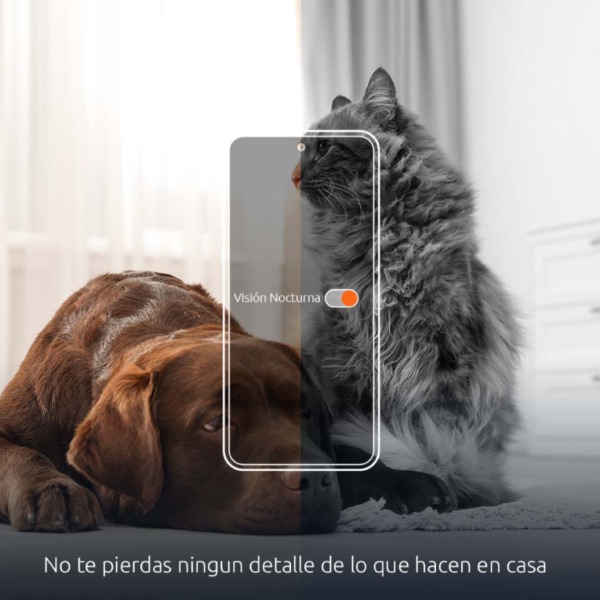 Comedero Inteligente Para Mascota Nexxt - Imagen 6