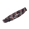 Collar Hund. Tigre