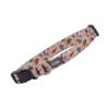 Collar Hund. Chita