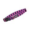 Collar Hund. Creta