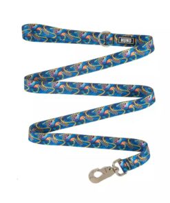 Correa Hund Amazonas