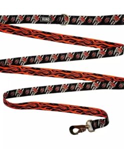 Correa Hund Tigre