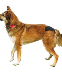 Alternative view of Bombacha Higiénica Trixie