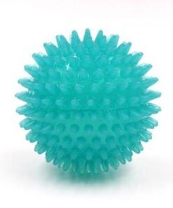 Pelota con Pinches Mpet