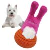 Juguete Pelota y Conejo Joyser