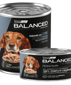 Balanced Souffle Perro Senior Carne 340/85grs