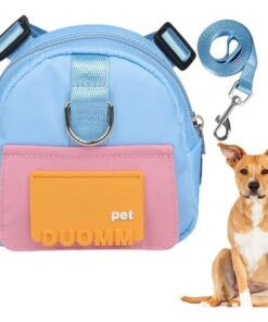 Mochila Arnes Con Correa Small