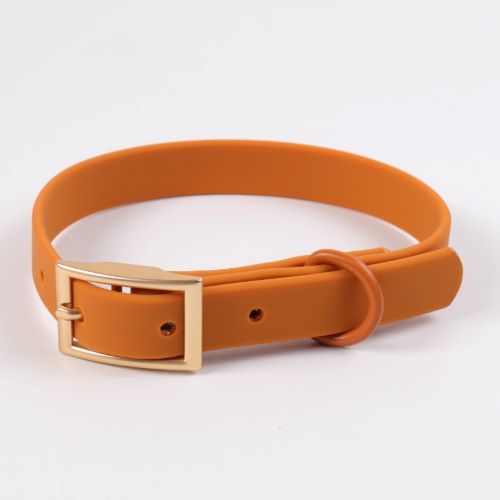 Conjunto UrbanFlex Large Mostaza - Imagen 2