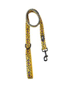 Correa TPM Yellow Wild