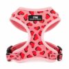 Arnes TPM Pet Love