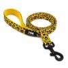 Correa TPM Yellow Wild