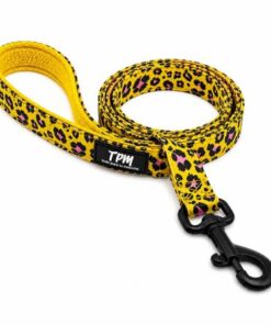 Correa TPM Yellow Wild