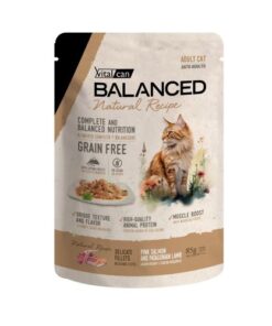 Pouch N.Recipe Gato Salmon y Cordero x 85grs